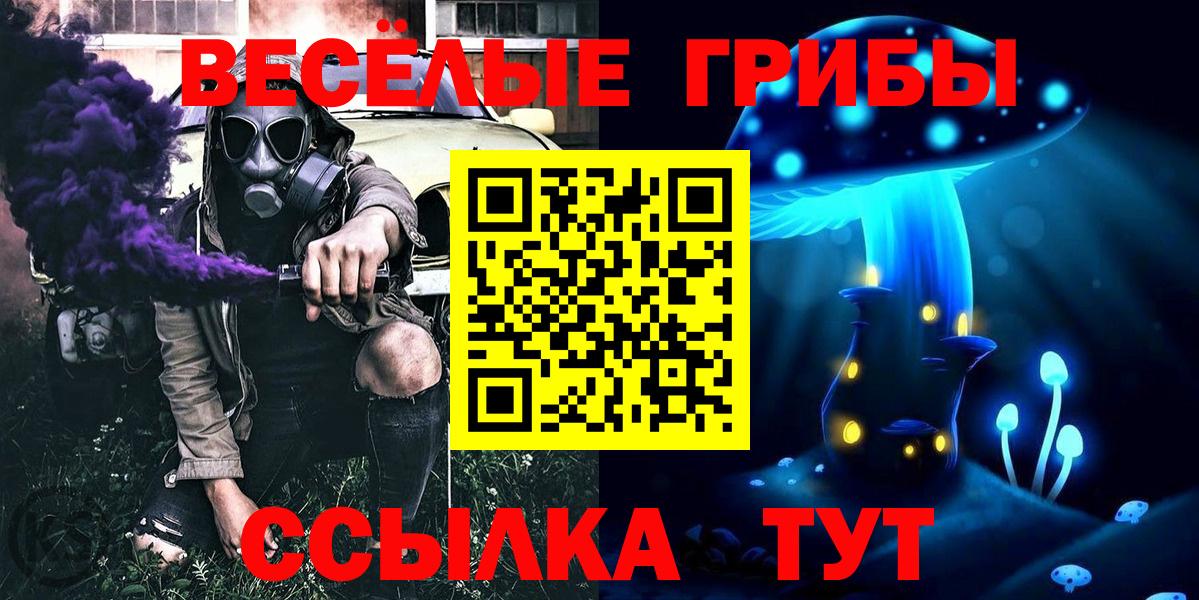 Псилоцибиновые грибы Psilocybe Лянтор