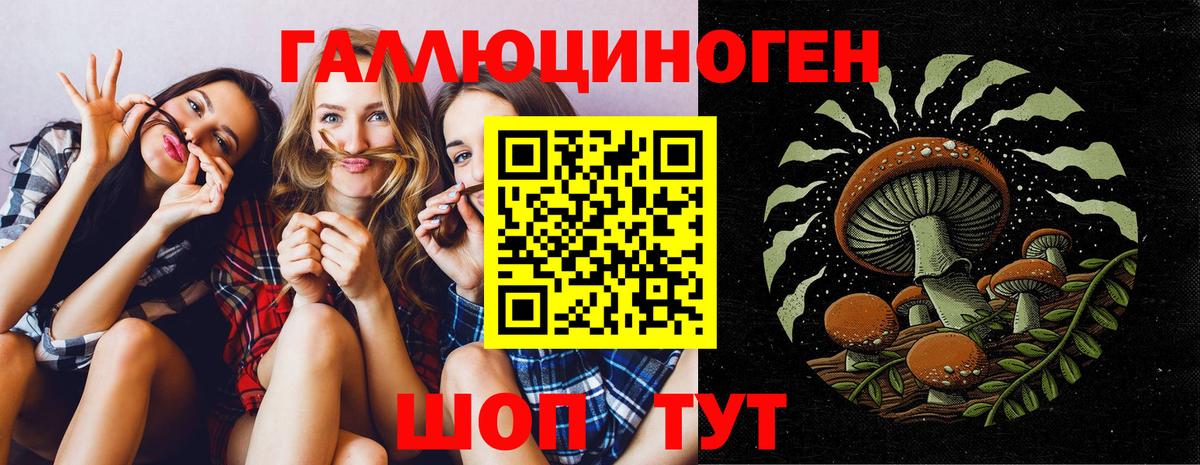 Лянтор  Галлюциногенные грибы Cubensis  Вход с VPN 